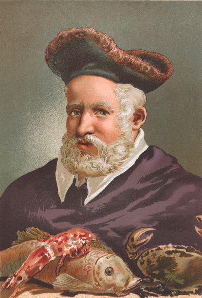 Guillaume Rondelet von Josep or Jose Planella Coromina