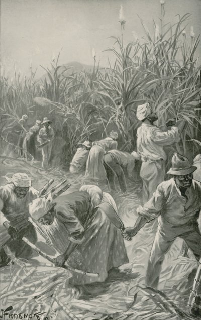Schwarzer bei der Arbeit auf einer Zuckerrohrplantage in Jamaika von Joseph (after) Finnemore