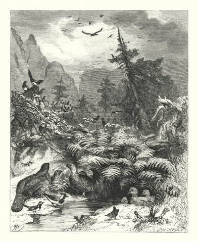 Suche nach Gott von Joseph (after) Wolf