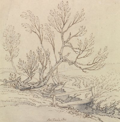 Fußgängerbrücke über einen Bach in der Nähe eines Weidenbaums von Joseph Farington
