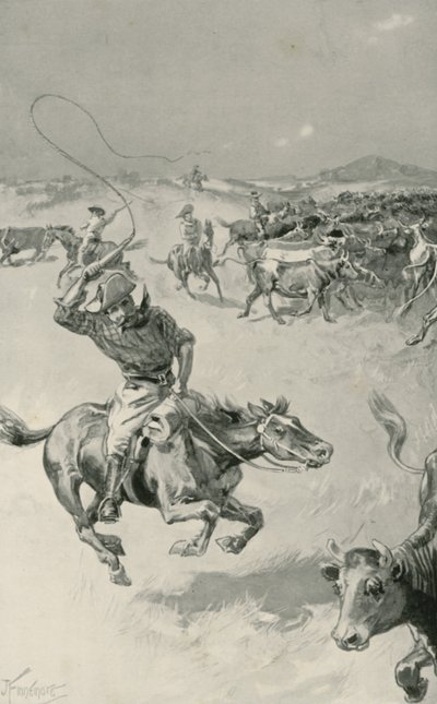 Viehtrieb in Queensland von Joseph Finnemore