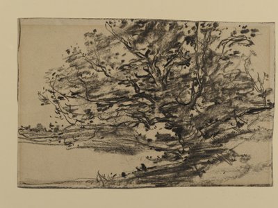 Studie von Bäumen, 1870 von Joseph Frank Currier