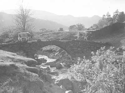 Kühe gehen über eine Steinbrücke mit Bach darunter von Joseph Hardman