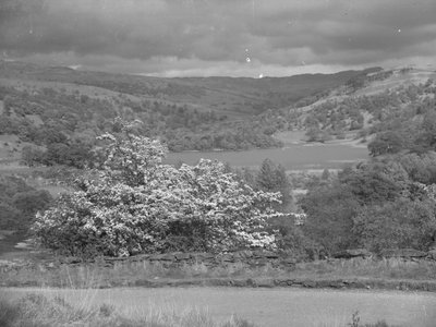 Blick über einen See bei Rydal von Joseph Hardman
