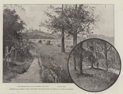 Churchyard Bottom Wood, Highgate, dessen Plünderung zur Diskussion steht von Joseph Holland Tringham