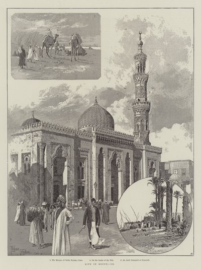 Leben in Ägypten von Joseph Holland Tringham