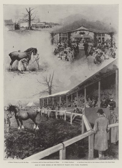 Verkauf von Shire-Pferden auf der Zuchtfarm des Prinzen von Wales, Wolferton von Joseph Holland Tringham
