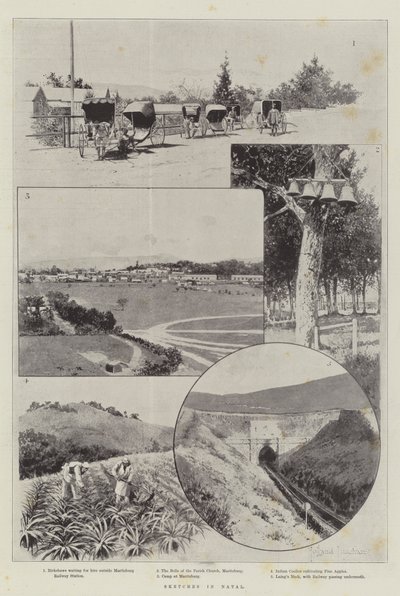 Skizzen in Natal von Joseph Holland Tringham