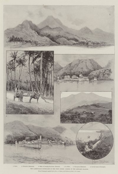Der bedauerliche Hurrikan in den Westindischen Inseln, Szenen auf den Leeward-Inseln von Joseph Holland Tringham