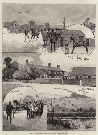 Besuch auf einem königlichen Gestüt, in Wolferton, in der Nähe von Sandringham von Joseph Holland Tringham