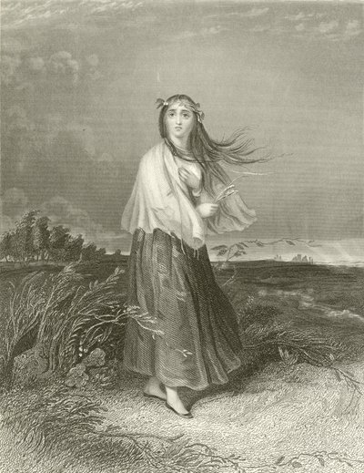 Kate ist verrückt von Joseph John Jenkins