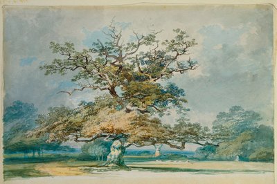 Eine Landschaft mit einer alten Eiche von Joseph Mallord William Turner