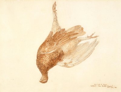 Totes Moorhuhn von Joseph Mallord William Turner