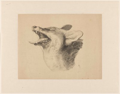 Kopf eines Fuchses von Joseph Mendes da Costa