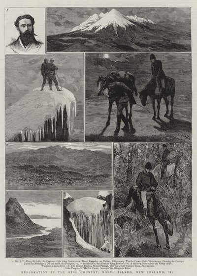 Erkundung im King Country, Nordinsel, Neuseeland, III von Joseph Nash