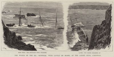 Das Wrack der SS Suffolk mit Rindern an Bord am Lizard Head, Cornwall von Joseph Nash