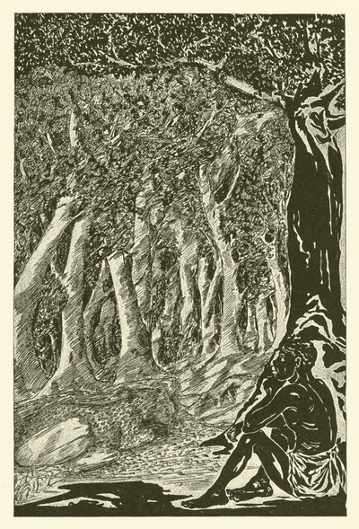Der Leopard und der Äthiopier von Joseph Rudyard (after) Kipling