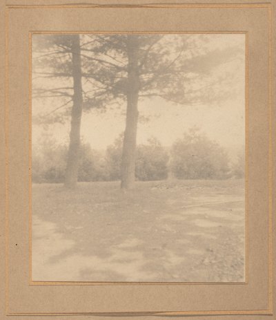 Landschaft mit Bäumen, ca. 1900 von Joseph T. Keiley