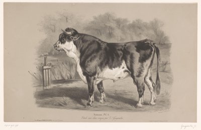 Stier auf einer Weide von Joseph Zephyris Gengembre