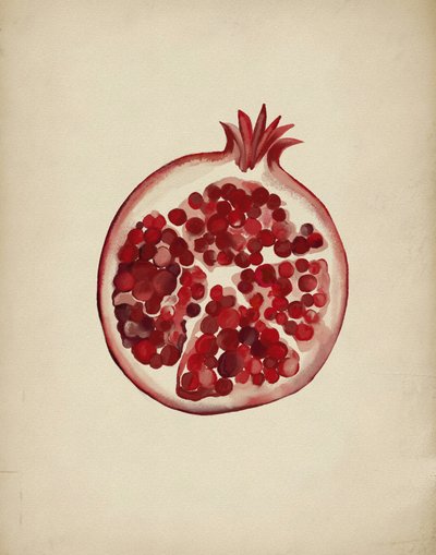 Saftiger roter Granatapfel von Josie George