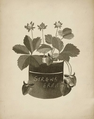 Vintage Erdbeerillustration von Josie George