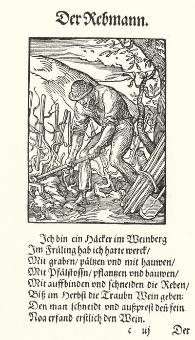 Der Winzer von Jost (after) Amman