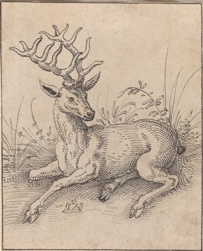 Der Hirsch von Jost Amman