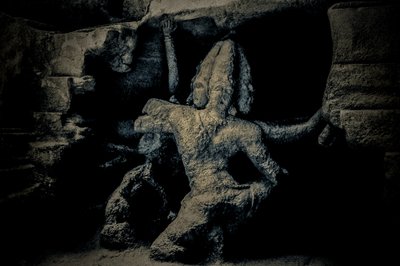 Wer ist dieser Gott, der im Dunkeln ruht, 2016 (Fotografie) von Joy Lions