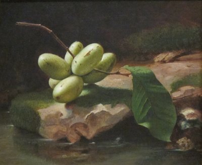 Stillleben mit Papayas von Jr. Edward Edmondson