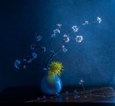 Blaue Blüten und Vase von Judy Tseng