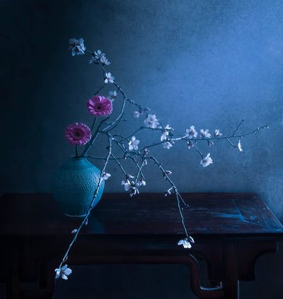 Dunkle Blumeneleganz von Judy Tseng