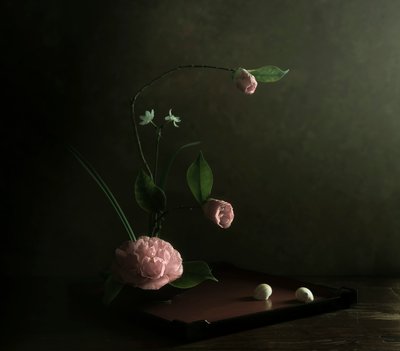 Rosa Kamelie Ikebana von Judy Tseng