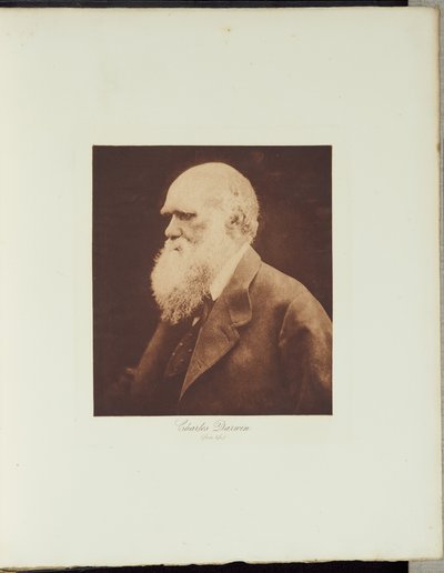 Charles Darwin von Julia Margaret Cameron