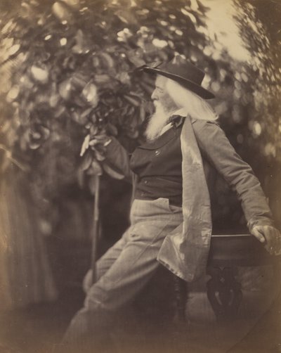 Charles Hay Cameron, Esq., in seinem Garten in Freshwater, 1865-67 von Julia Margaret Cameron