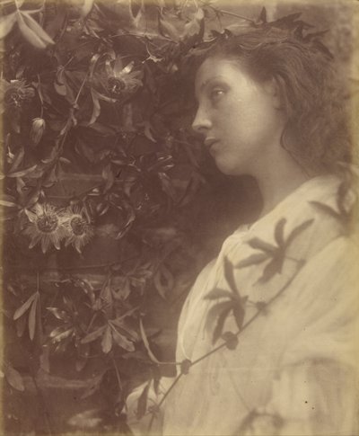 Maud "Es ist eine prächtige Träne vom Passionsblume am Tor gefallen" von Julia Margaret Cameron