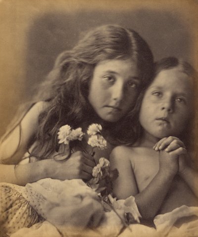 Die roten und weißen Rosen von Julia Margaret Cameron