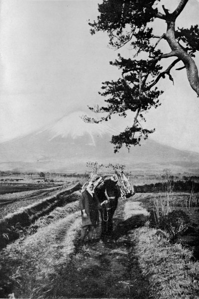 Bauern der Region Fuji nicht namentlich, sondern nur als O Yama, der Ehrenwerte Berg, ca. 1900 von Julian Leonard Street