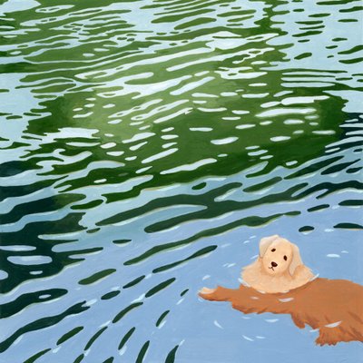 Schwimmender Golden Retriever von Julie Lesouef