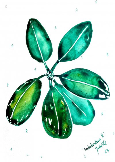 Frische Rhododendronblätter von Julija Belickienė
