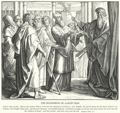 Das Blühen von Aarons Stab (Gravur) von Julius (after) Schnorr von Carolsfeld