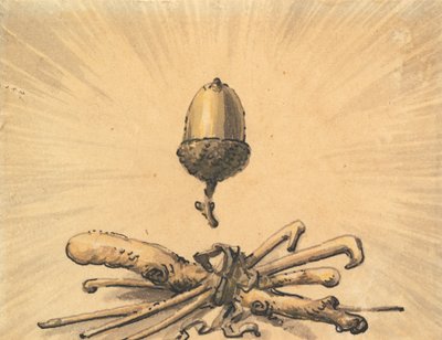 Eichelstärke von Julius Caesar Ibbetson