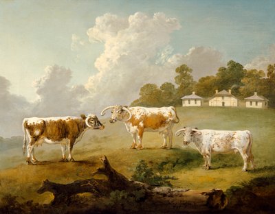 Drei Langhornrinder in der Landschaft von Julius Caesar Ibbetson