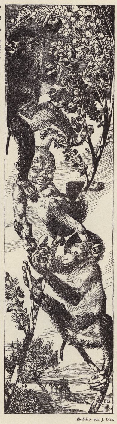 Affen pflücken Früchte in einem Baum von Julius Diez