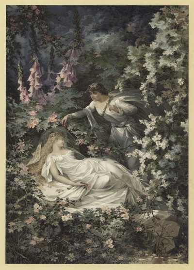 Illustration für Ein Sommernachtstraum von Julius Hoeppner