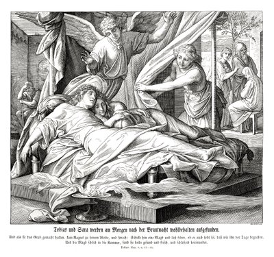Tobias und Sarah sind sicher, Buch Tobit von Julius Schnorr von Carolsfeld