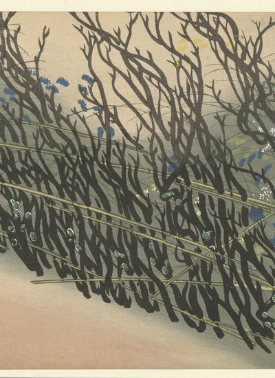 Hecke mit Herbstblumen von Kamisaka Sekka