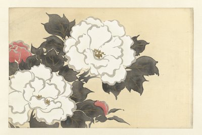 Pfingstrosen von Kamisaka Sekka