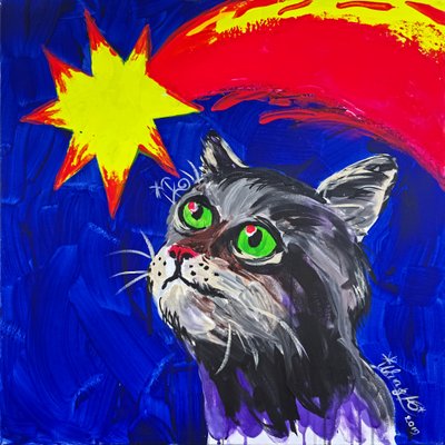Katze und Komet von Kanat Ibragimov
