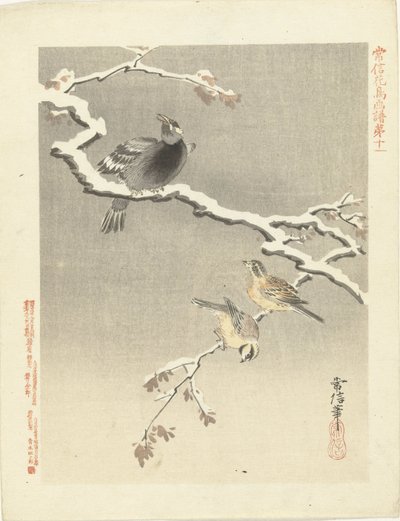 Drei Vögel auf verschneitem Ast von Kano Tsunenobu