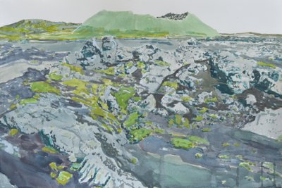 Moosige Vulkanlandschaft von Karin Bos